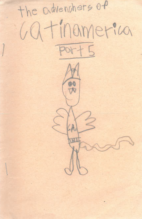 catinamerica 5